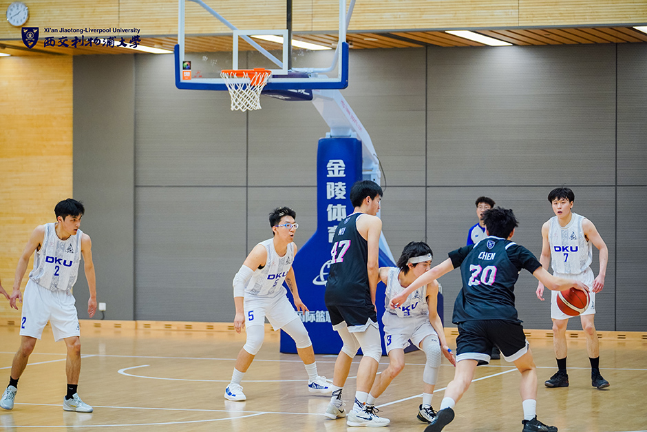 科尔