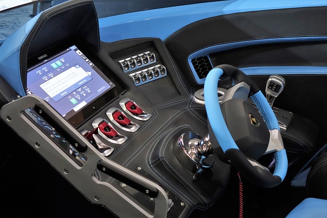 在东京奥运 在东京奥运