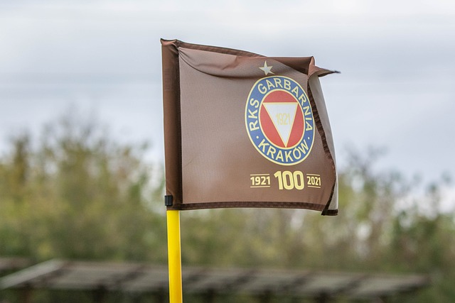 网队低价引 网队低价引