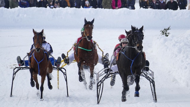 科莫阵中的 科莫阵中的