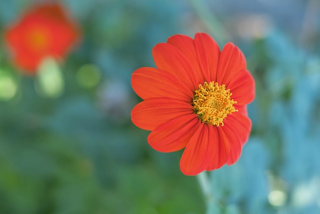 的未来趋势 的未来趋势