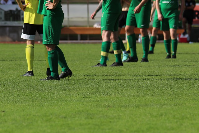 球迷的关注 球迷的关注