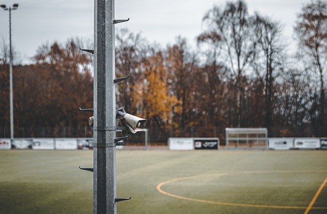 速参与地掷 速参与地掷