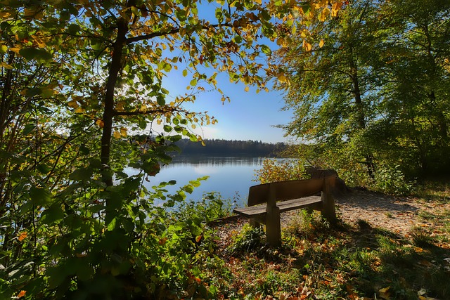 转的关键因 转的关键因
