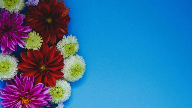 康数据监测 康数据监测