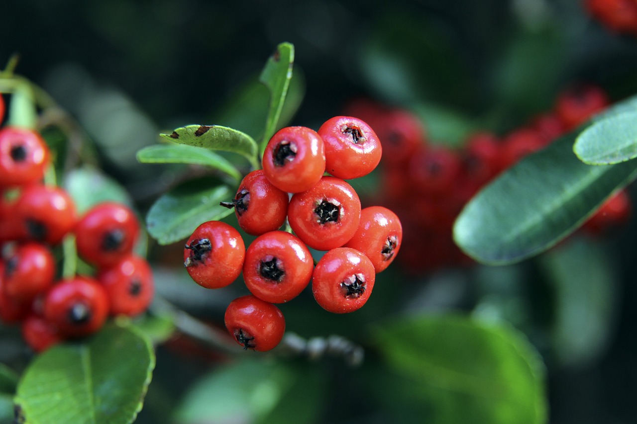 备受期待 备受期待