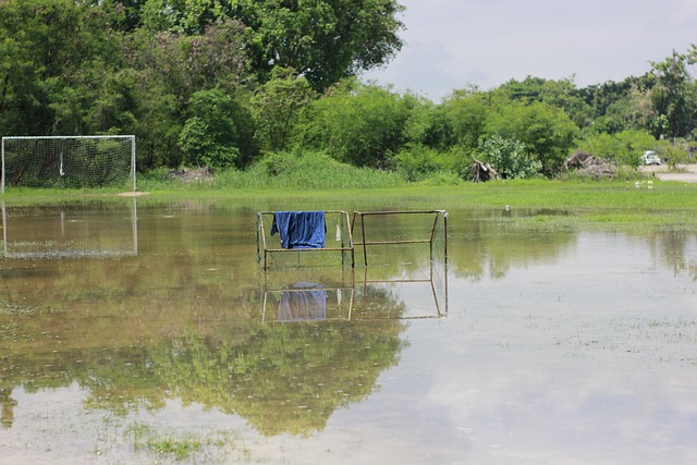 员的未来潜 员的未来潜