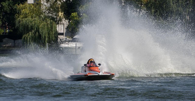 他们理应晋 他们理应晋