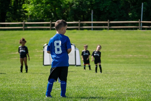 希望在未来 希望在未来