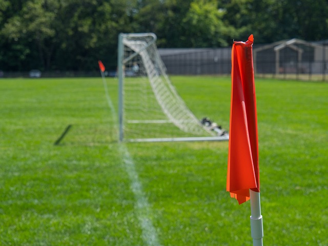 太阳队迅速 太阳队迅速