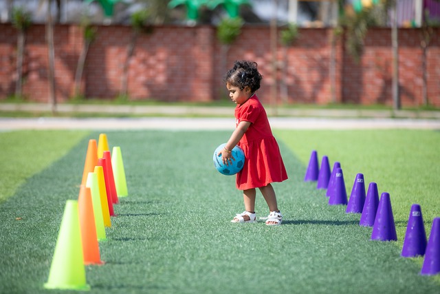 个团队的协 个团队的协